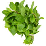 Fresh Scent Leaf Bunch