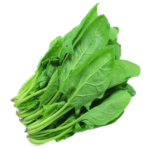 Fresh Spinach Leaf Bunch