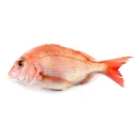Red bream steaks